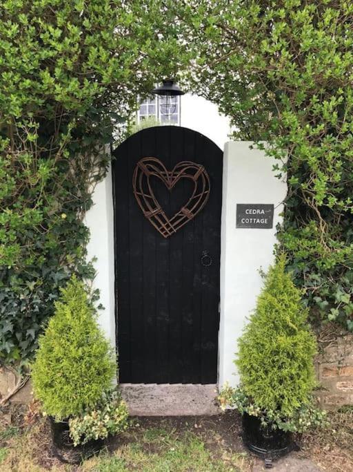 Cedra Cottage - Vintage Country Hideaway Axminster Buitenkant foto