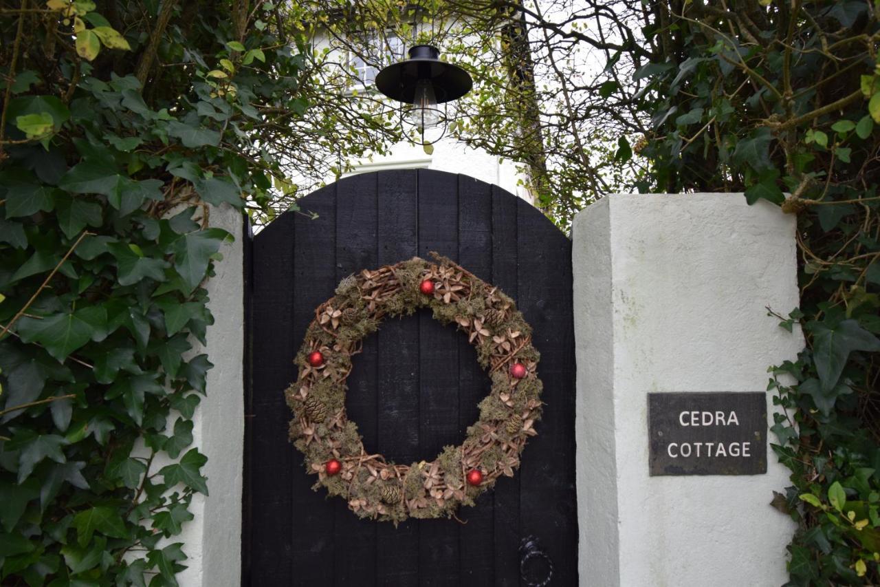 Cedra Cottage - Vintage Country Hideaway Axminster Buitenkant foto