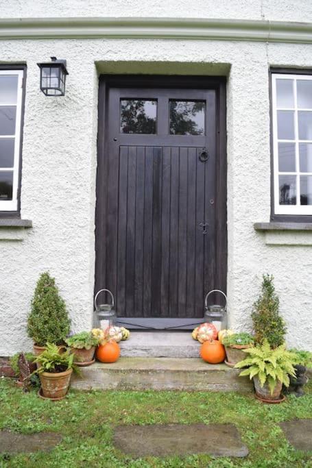 Cedra Cottage - Vintage Country Hideaway Axminster Buitenkant foto